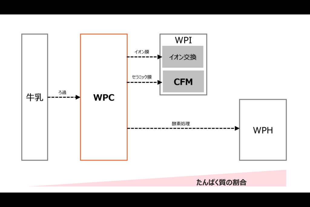 結局「WPC・WPI・CFM・WPH」どの製法が良い？ホエイプロテイン製法による違いを解説 | タクトレブログ