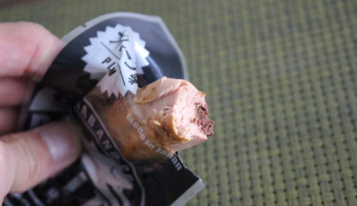 カツオだけからできた健康的なプロテインバー「BONITOBAR」レビュー