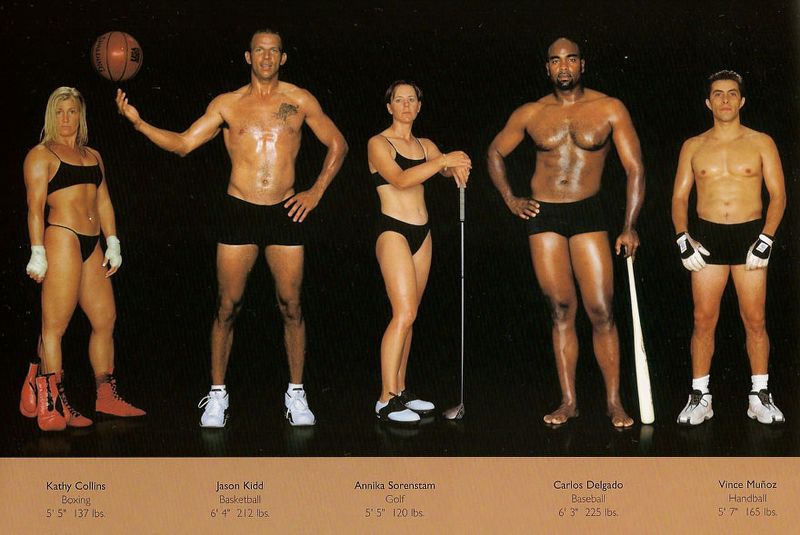 スポーツでこんなに違う 種目別アスリートの体つき写真の比較まとめ タクトレブログ