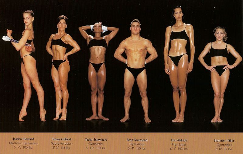 スポーツでこんなに違う 種目別アスリートの体つき写真の比較まとめ タクトレブログ