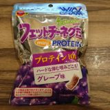 【タンパク質10g】フェットチーネグミmini プロテイン 実食レビュー【美味】