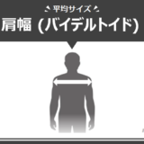 肩峰幅 けんぽうはば の平均は何cm 性別 年代別の広い 狭いの9段階目安も タクトレブログ