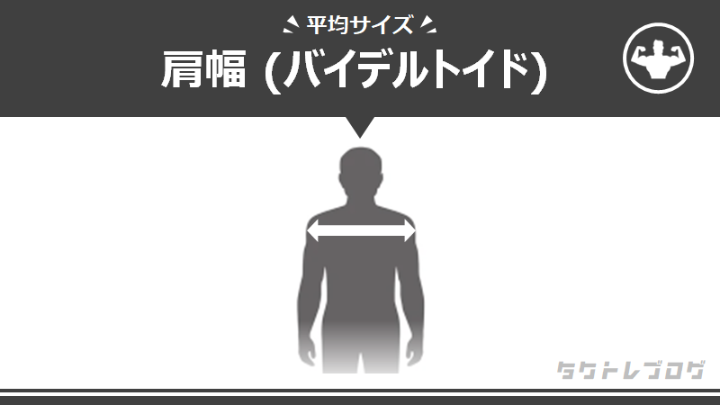 日本人の肩幅の平均は？