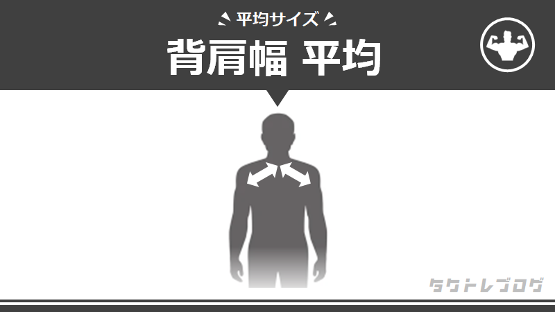 背肩幅 採寸における肩幅 の平均は何cm 広い 狭いの9段階目安も タクトレブログ
